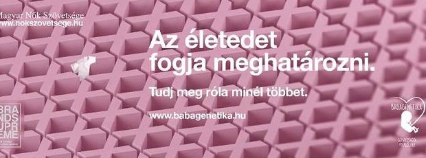 az-eletedet-fogja