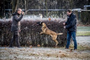 összefogás a madásmérgezések