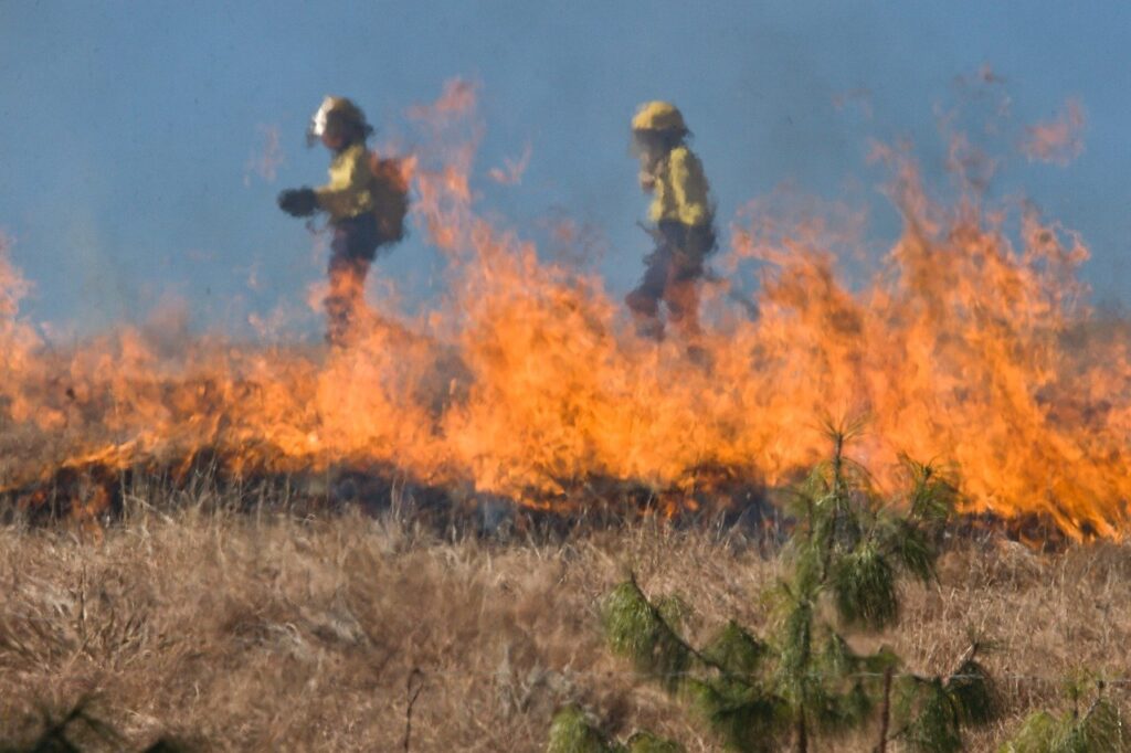 firefighter, wildfire, grass fire