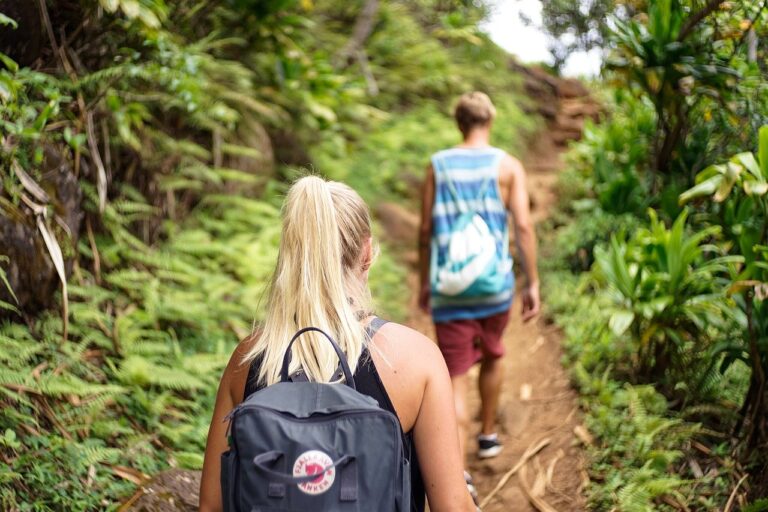 hike, hikers, scene