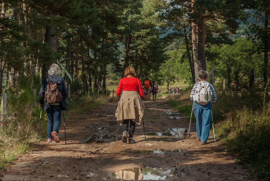 hikers, walkers, path