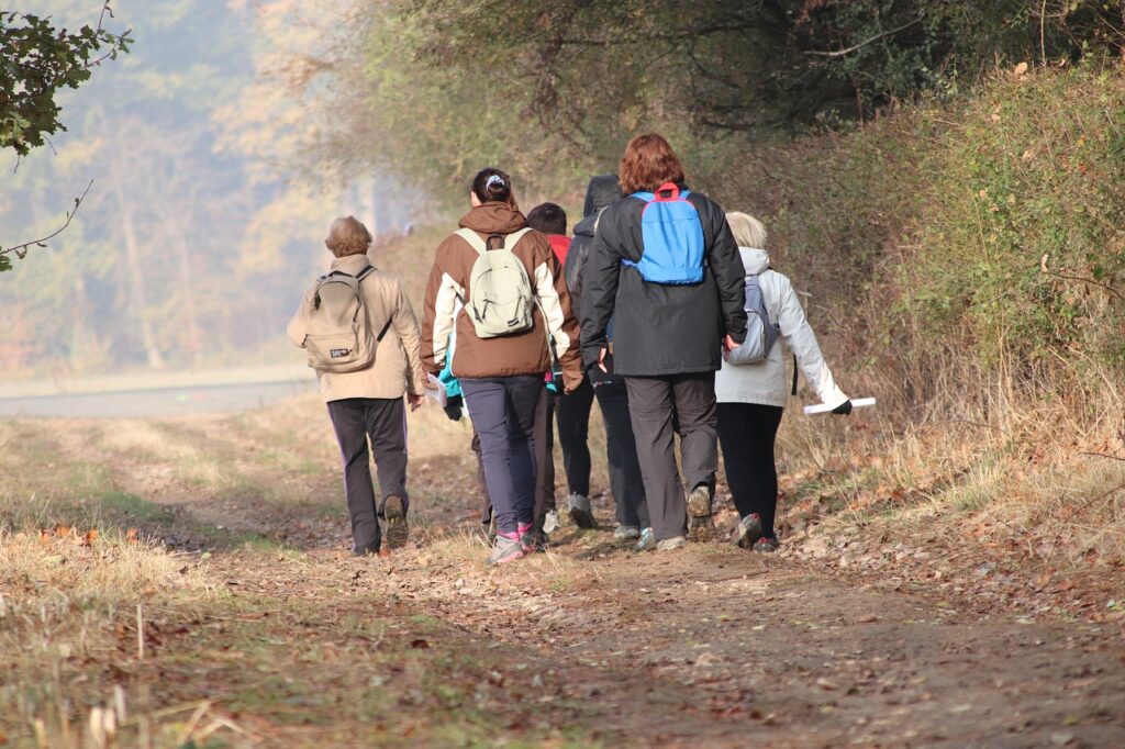 hikers, field, trails