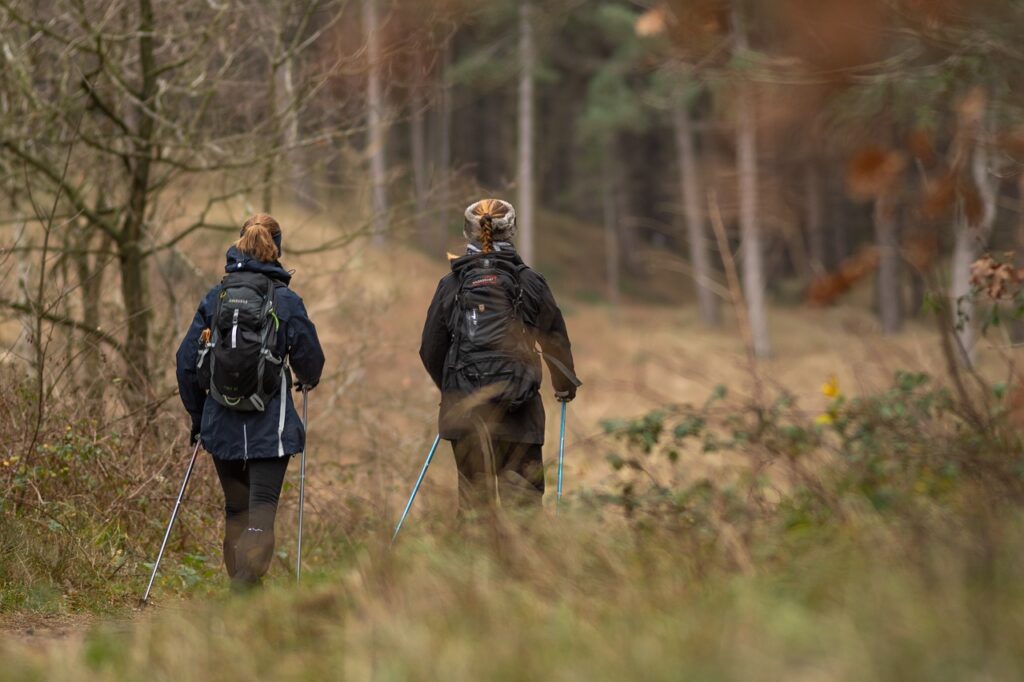 hiking, hikers, forest